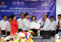 Vinamilk hợp tác với Lâm Đồng mở rộng chăn nuôi bò sữa