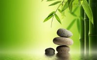 Hãy sống với giây phút hiện tại
