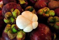 Chọn mua măng cụt ngon
