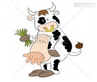 Cuộc thi vắt sữa bò.