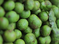 Chọn sấu ngâm như thế nào mới chuẩn?