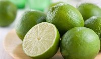 Mẹo hay giúp bạn lau dọn bể cá nhanh chóng