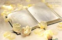 Bài học quý giá cho cuộc sống