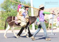 Hãy sống vì chính mình