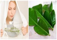 Sáng mịn da mặt với xông hơi bằng các loại lá tự nhiên