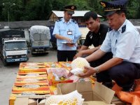 20 tỷ USD từ Trung Quốc vào Việt Nam Đi đâu không biết