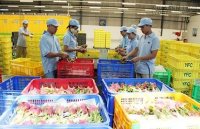 Trung Quốc muốn mua nông sản Việt Nam qua sàn