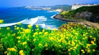 Du lịch Hàn Quốc - Mùa nào cũng đẹp!.