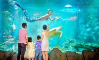 Vui hè bổ ích tại Vinpearl Land.
