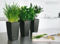 9 bí quyết cho nhà thơm mát đón hè sang