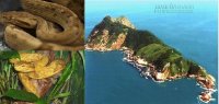 Rùng mình trước 10 hòn đảo “tử thần” trên thế giới
