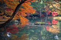 Nhật Bản: Điểm hẹn lịch sử và văn hóa Kyoto