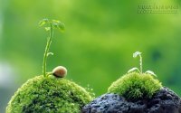 Bởi vì nó đau nên nó là tuổi trẻ