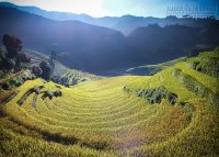 Hành trình trải nghiệm cuộc sống trước tuổi 30