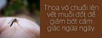 6 tiện ích 