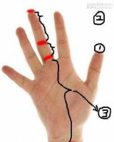 Xem độ dài ngón tay đoán số mệnh tốt xấu