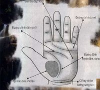 Xem chỉ tay đoán sức khỏe
