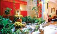 Không dùng đá trong nhà để mọi việc được hanh thông, thuận lợi