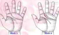 Nhân tướng học Xem đường tình duyên qua chỉ tay