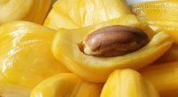 Công dụng chữa bách bệnh từ hạt mít