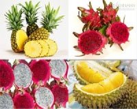 Mẹo chọn thanh long, sầu riêng và dứa cực ngon cho các mẹ