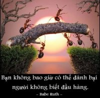 Làm sao để không bỏ cuộc