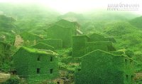 Ngôi làng phủ kín dây leo giữa đảo hoang