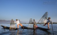 Hai ngày chiêm ngưỡng vũ điệu chèo thuyền trên hồ Inle