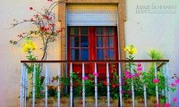 Bí quyết phong thủy đơn giản để sống khỏe và vui