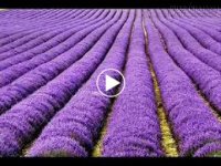 Phong Cảnh Đẹp Khó Tin trên Thế Giới
