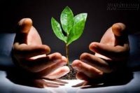 Giá trị của bạn