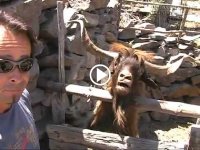 Quân tử động khẩu không động thủ