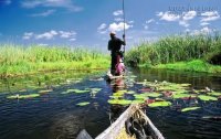 Thế giới đầm lầy, rừng ngập nước nguyên sơ tựa cõi mộng