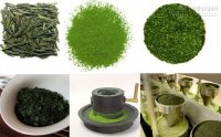 Cách làm bột trà xanh matcha từ lá trà xanh tươi