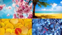 Đoán tính cách người yêu bạn qua 4 mùa trong năm