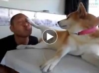 Thật đúng là chảnh chó mà