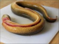 Mẹo chọn và làm lươn sạch nhớt mà không bị tanh