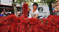 Bài học đối nhân xử thế từ người bán ớt