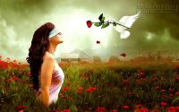 Quy luật tình yêu: sòng phẳng, ích kỷ và vị tha