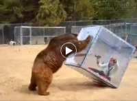 Trò chơi vô cùng thú vị