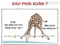 Chết cười với bộ ảnh siêu hài về khủng long, thỏ,rắn, voi...
