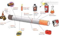 Giật mình 40.000 người Việt chết mỗi năm vì sát thủ 1.000 đồng