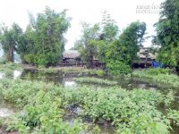 Khung cảnh bình yên của ngôi làng nằm bên hồ Lắk