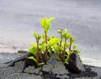 Ba câu chuyện nhỏ giúp bạn nhận ra triết lý cuộc đời