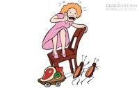 Mẹo đuổi côn trùng ra khỏi nhà bạn mà không cần hóa chất