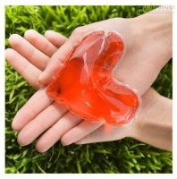Lời hứa từ trái tim