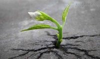 Biến nghịch cảnh thành quà tặng