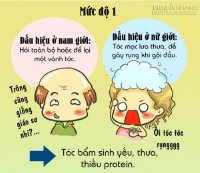 Rụng tóc tơi tả là dấu hiệu của những chứng bệnh nguy hiểm