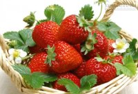 Cách nhận diện loại quả hay 