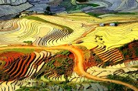 Lào Cai là một trong những điểm đến đẹp nhất thế giới